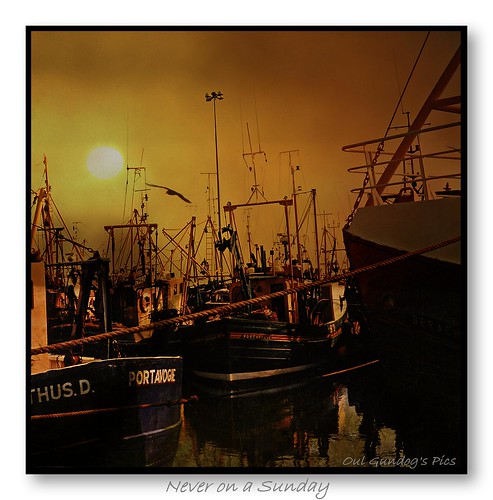 portavogiefishingboats codown northernirelandkodakvericoloriiitypesvpsfilm yashicamattwinlensreflexmediumformattlr120rollfilmcameracirca1993ulsterwatersunrisesundaydocksidejettyfish harbour ulster varicolour medium format