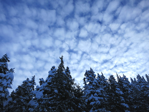 Mackerel sky in Whistler | by Ruth and Dave