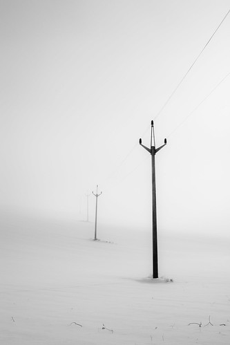 fog | by vladimirletko