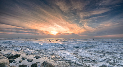 urk ijsselmeer sunset birds ice winter