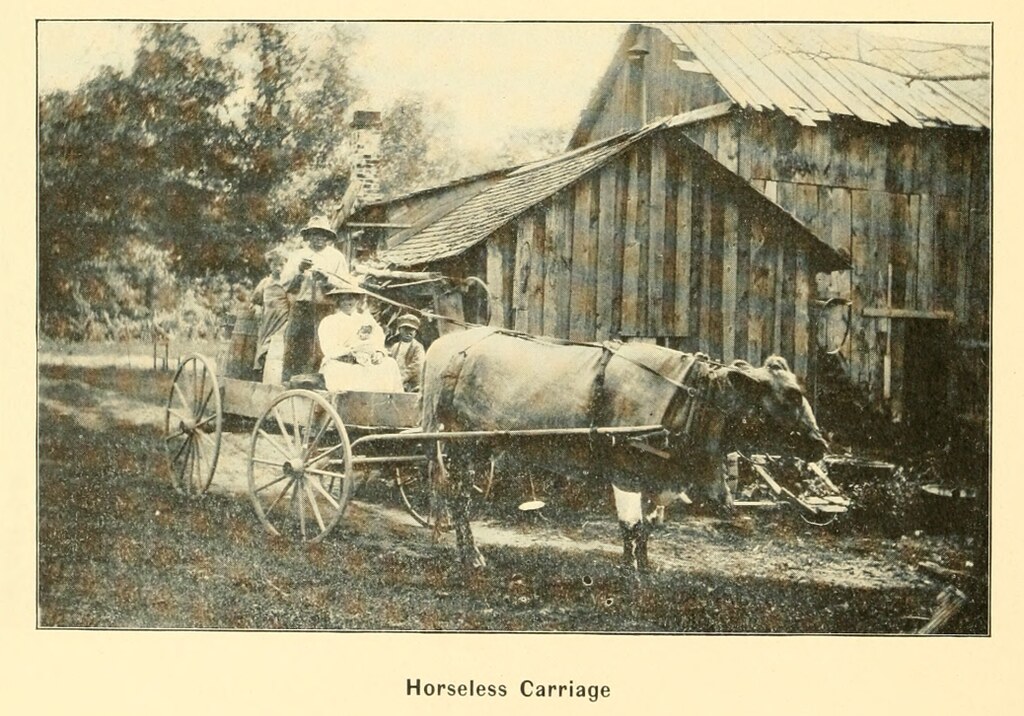 Horseless Carriage near Allegan 1904