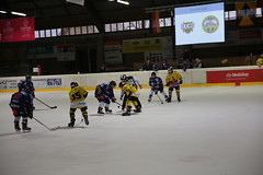 Treichle Cup 2017