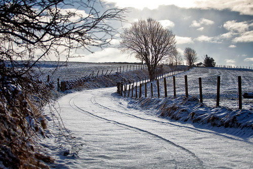 Round the bend (1) by Missy Jussy, I attempted walk up this lane today, but with snow drifts bigger than me, we had to turn back. Maybe