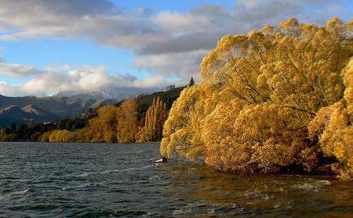 fall autumn seasons landscape scenery waterscape lumix newzealand cco