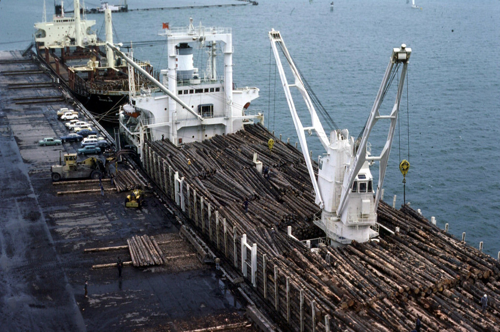 Timber Point Ship zship - NZ - 1979-09-08 Mt Maunganui - timber ships loadin… | Flickr