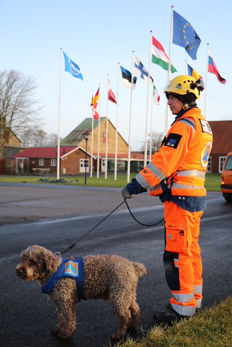 Denmark: Civil Protection Exercise | by EU Civil Protection and Humanitarian Aid