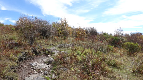 appalachiantrail virginia vagraysoncounty landscape trail hiking chfstew