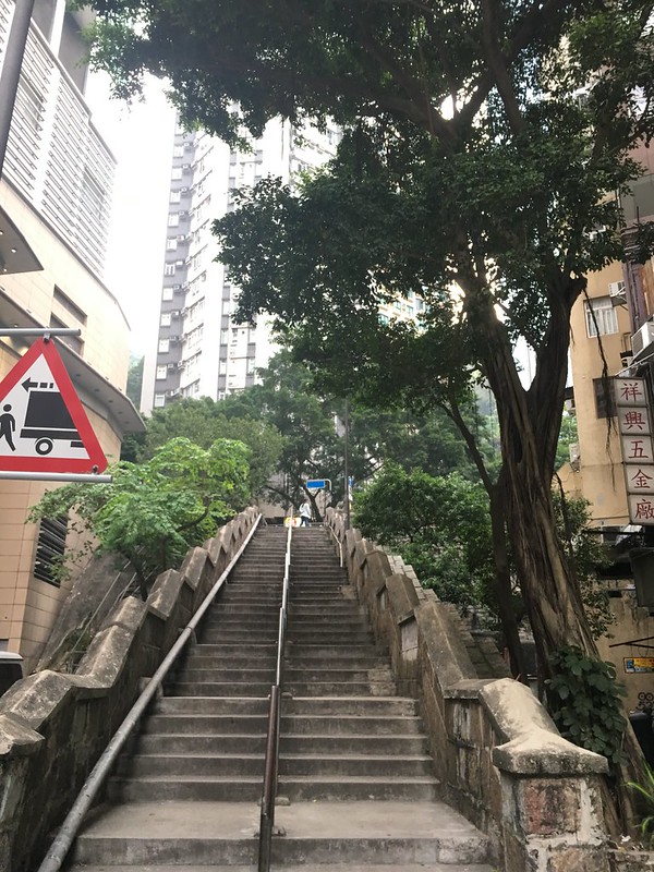 Hong Kong Trip