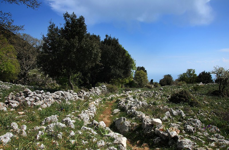20170411-243F | Landschaft auf dem Monte Gargano. Apulien, 11.04.2017
