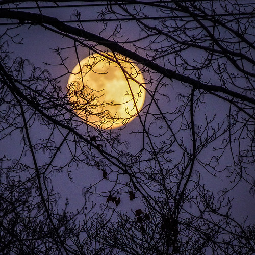 moon fullmoon evening