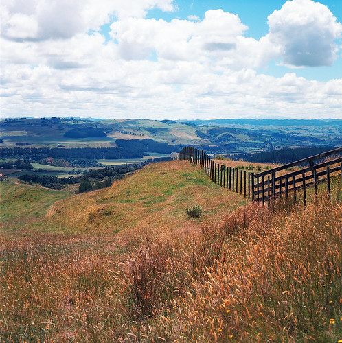 120film 65mm c41 ektar100 film kodak kodakektar100 mamiyac220tlr mamiyasekor65mmf35 stormypoint lookout waitunawest manawatuwanganui newzealand