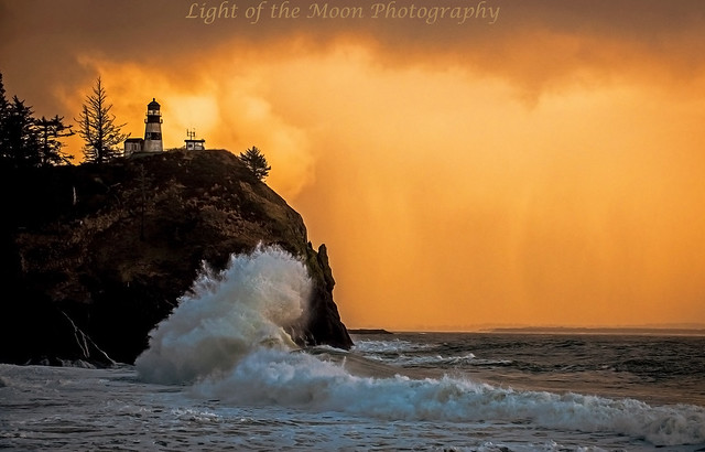 cape disappointment 1-21-18-1339