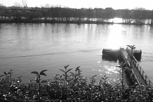 Wintersundown on the Rhine