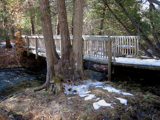 Seven Bridges Natural Area solitude
