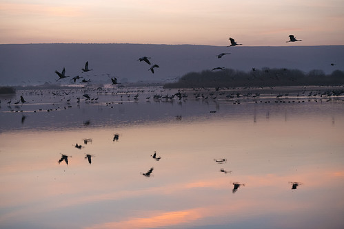 _8500791 by our.travel2014, emekhulah northdistrict israel il