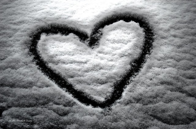 Coeur des neiges  - Heart of Snow