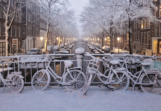 Amsterdam's winter charm shines in fairy lights