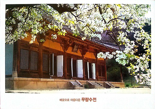 20180109 아이슈크림 buseoksa muryangsujeon temple yeongju folwerofpear 배꽃