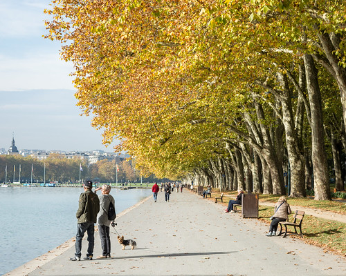 annecy lacdannecy france hautesavoie lake autumn sunshine golden water vista view nikon d7100 promenade people dog perspective trees fall 4x5