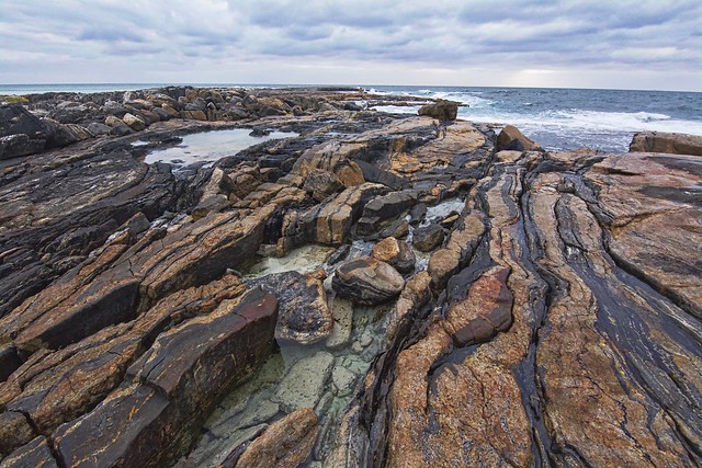Point Malcolm. Wild gneiss and other metamorphic rocks. All weathered to the max by the ocean and solid sea breezes. A trip east of Esperance Cape Arid Natonal Park