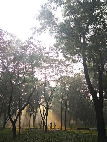 ature run jog walking health sunrise sunlight nature park parklife bangla bd sunrays rays chat morning