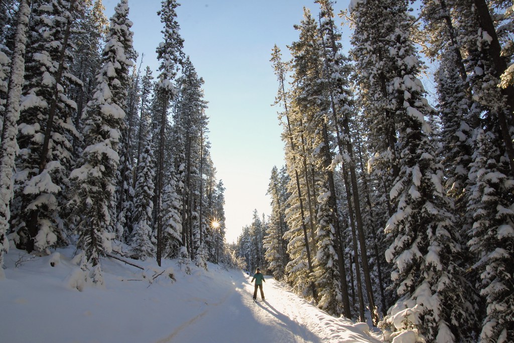 West Bragg Creek Provincial Recreation Area