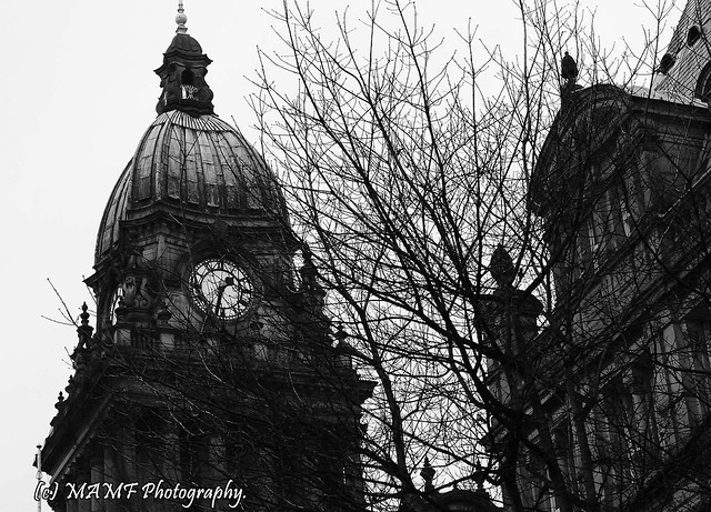 Leeds town hall through the trees