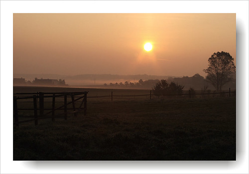 sonnenaufgang sonne canoneos400ddigital landschaft sunrise himmel feld nebel strombergerschweiz rolfpahnhenrich