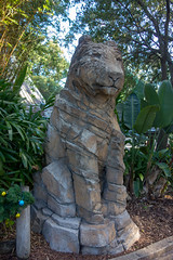 Photo 18 of 25 in the Day 8 - Busch Gardens Tampa gallery