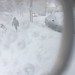 View through my snowy glasses