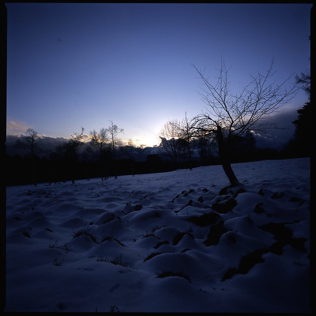 Extremely cold blue  (HASSELBLAD 500C/M)