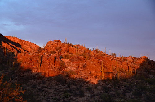 Tucson West Gate sun on rocks