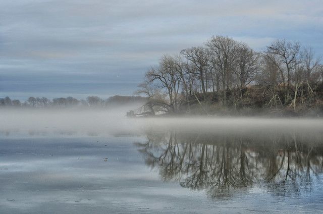 A Mirror in the Mist
