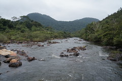 Macal River