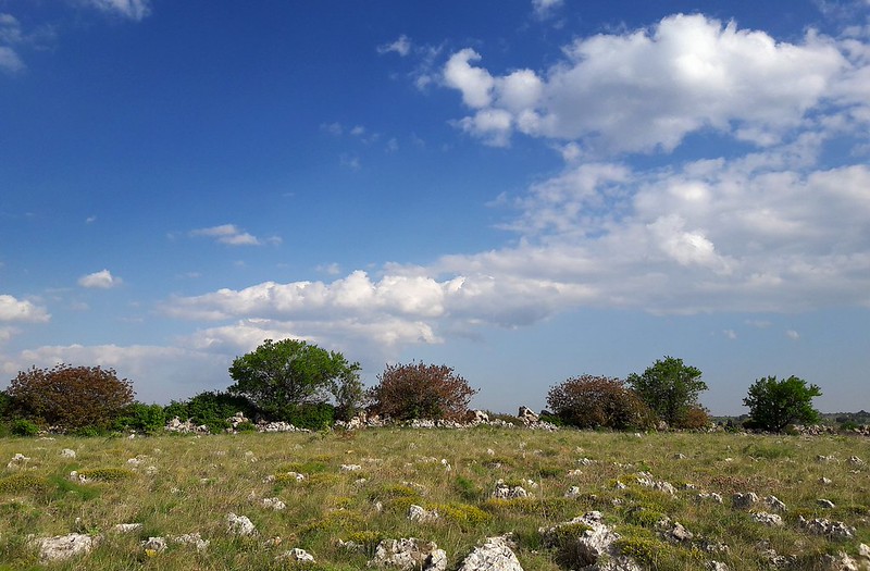 20170414-132F | Landschaft am Pulo di Altamura. Apulien, 14.04.2017