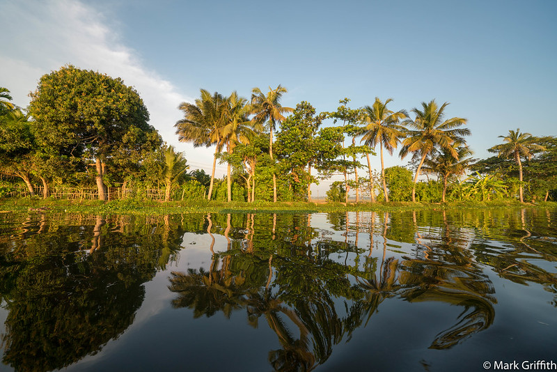 The Backwaters