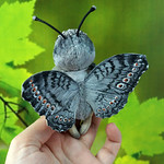 Gray Pansy butterfly toy