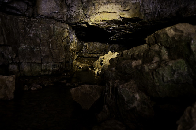 Falkensteiner Höhle