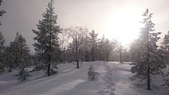 Vinter 2018