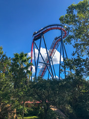 Photo 1 of 25 in the Day 8 - Busch Gardens Tampa gallery