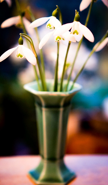 Snowdrops in a vase