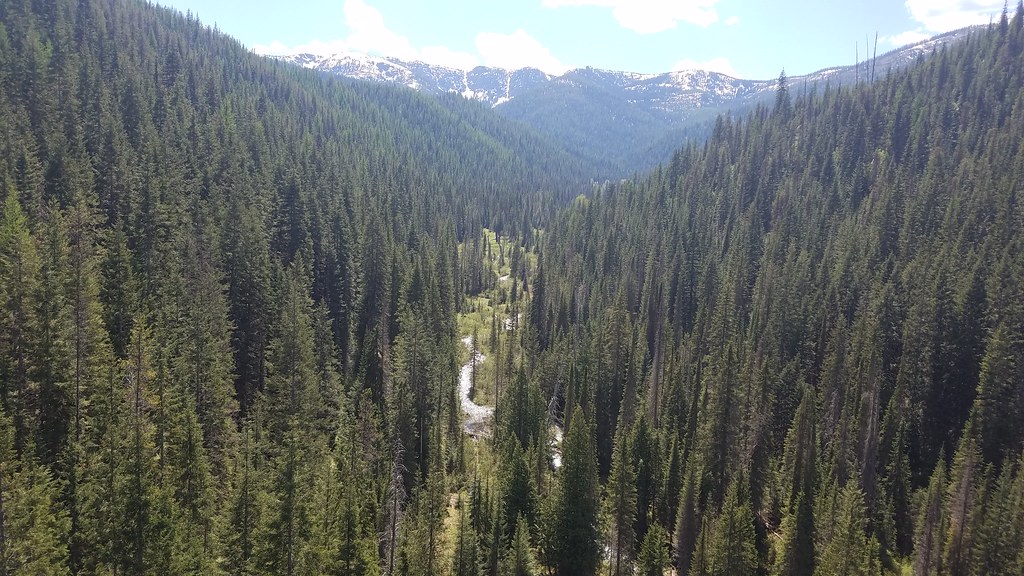 BEAR CREEK