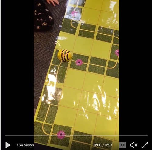 _Beebots_RoadMap | by Robotics Class