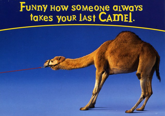 63b  Funny how someone always takes your last Camel. Postcard Camel Lights img567