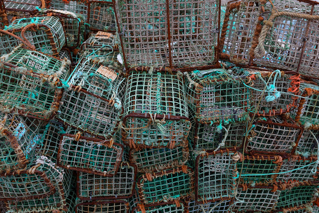 basket fish traps in Cascais