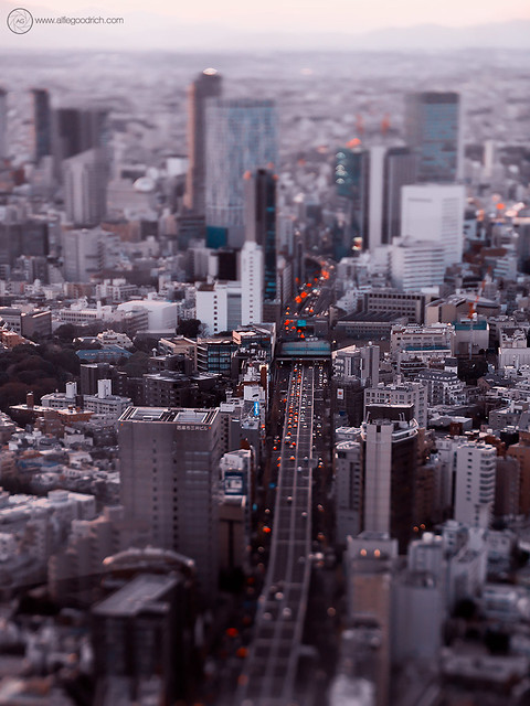Tokyo ToyTown: Looking Towards Shibuya