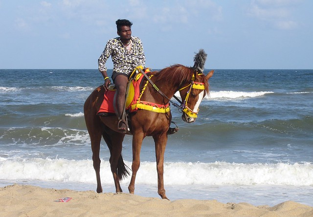 Mamallapuram, Tamil Nadu - Beach Horseman