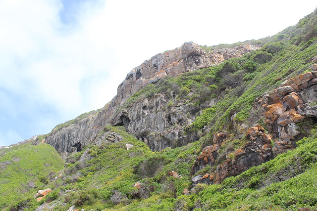 Green Cliffs