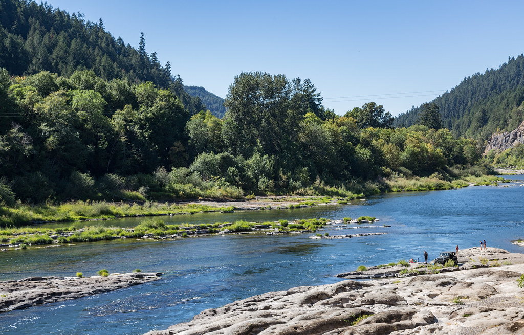 Tyee Trail