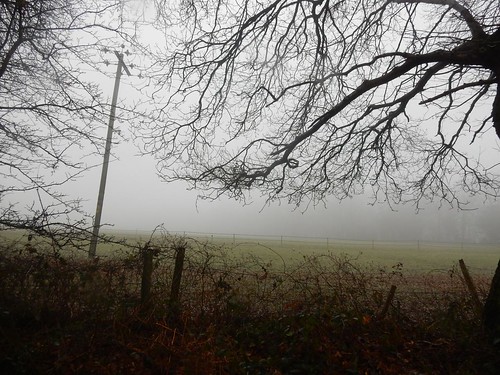 A mist descends Tadworth Circular